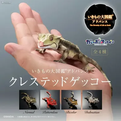 GACHA Ecological Atlas FIGURE Lizard Gecko Reptile Leopard Pattern Simulated Biological Animal ACTION Figure Model Toys