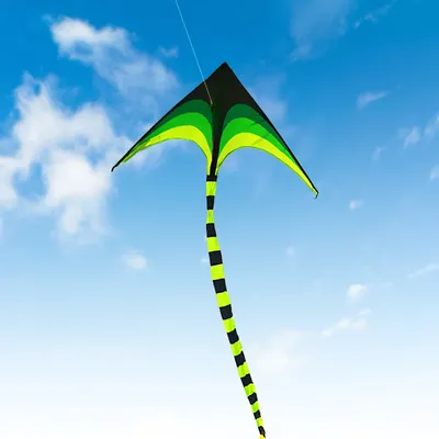 YongJian Large Delta Kite for Kids & Adults Easy to Fly Large Huge Delta Kite Come with 6m Tail Easy