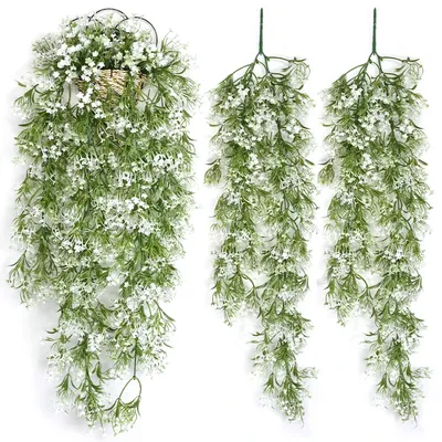 Flowers+Plants