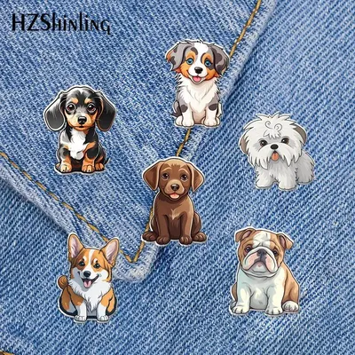 2023 New Grey Australian Shepherd Puppy Acrylic Lapel Pin Labrador Rottweiler Epoxy Butterfly Clasp