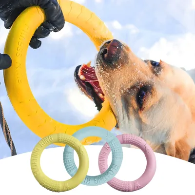 Dog Toy Training Ring Puller Puppy Flying Disk Chewing Toys Outdoor Interactive Toy Dog Game Playing