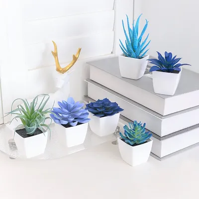 Flowers+Plants