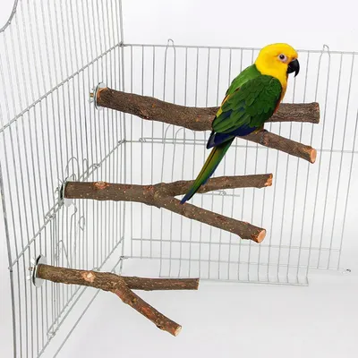 1pcs 15/20/30cm Birds Accessories Bird Cage Sticks Wooden Stuff Stand Tree Branch Perches Asesorips
