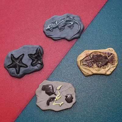 10pcs Mini Resin Fossil Miniature Charm Flatback Dollhouse Miniatures Crafts Scrapbooking Accessories Mini Figurine Cabochon Diy