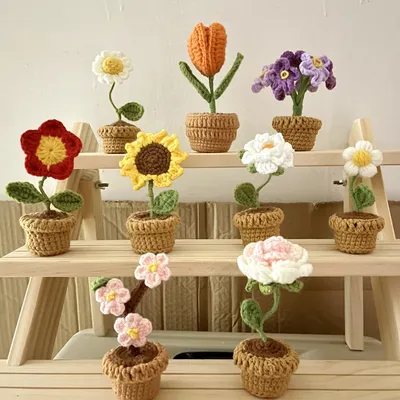 Flowers+Plants