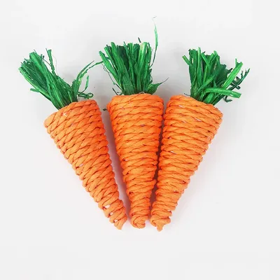Hamster Rabbit Chew Toy Bite Grind Teeth Toys Corn Carrot Woven Balls for Tooth Cleaning Radish