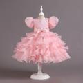 Enfants Fille Robe de fête Couleur unie Manche Courte Occasion spéciale Princesse Polyester robe soirée Eté Printemps 3-10 ans Blanche Rose Claire Vin