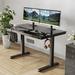 Ebern Designs Seila Glass Top Height Adjustable Standing Desk w/ USB Port & Type-C Port Glass/Metal in Black | 46.5" H x 48" W x 24" D | Wayfair