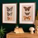 Framed Butterfly Wall Art Prints Multi Earth Set of Two, Set of Two, Multi Earth