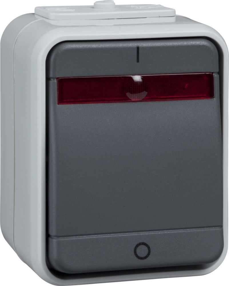 Elso Kontroll-Ausschalter AP ELG441219 Image