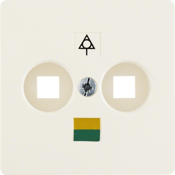 Berker Zentralplatte 140302 Image