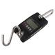 Pocket LCD Digital Display Electronic Weights Scale Powered 50kg Hanging Hook For Fishing Luggage Weighing Scale