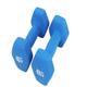 Dumbbells Home fitness exercise dumbbells for men and women, a pair of colorful small dumbbells and hexagonal dumbbells Dumbbell Set (Color : Blue, Size : 10kg)