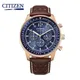 CITIZEN-Montres à quartz étanches pour hommes horloge de luxe calendrier Shoous montre en acier