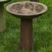 Campania International Birdbath Concrete, Copper in Red | 23 H x 18.75 W x 18.75 D in | Wayfair B-160-FN