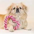 Pet Plush Chew Toys Teeth Cleaning Bite Dog Cotton Rope Valentine's Day Themed Dog Training Chew Toy