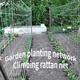 Grow Your Garden With This Reusable Diy Polyester Pergola Net For Climbing Plants!