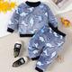 2pcs Baby Boys Casual Dinosaur Pattern Fleece Warm Outfits - Crew Neck Long Sleeve Top & Trousers Set For Autumn And Winter