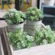 1pc 24-head Artificial Succulent Plant For Diy Flower Arrangements And Home Decor - Realistic Potted Greenery For Weddings And Engagements