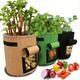 Grow Your Own Vegetables & Flowers With This Portable, Multi-purpose Plant Growth Bag!