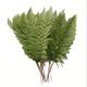 12/24pcs Realistic Artificial Shrubs And Flowers For Indoor And Outdoor Decor - Simulation Persian Grass, Boston Ferns, And Green Leaves - Perfect For Office And Home Decor