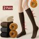 2 Pairs Thick & Warm Winter Socks, Knit Over The Knee Length Socks, Women's Stocking & Hosiery