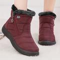 Women's Warm Faux Fur Lined Snow Boots, Winter Side Zipper Ankle Boots, Women's Footwear