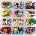 1 Box/premium Mixed Packaging Randomly Sent, Dried Flowers, Eternal Flowers, Floating Flowers, Manual For Resin Filling, Candle Flower Material Package, Approximately 20-30 Grams Per Box (fake Cotton)