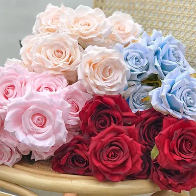 Flowers+Plants