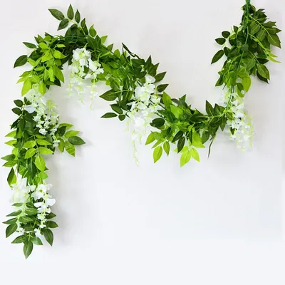 Flowers+Plants
