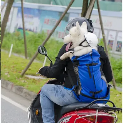 Hiking Pet Dog Carrier Travel Backpack Outdoor Ventilation Breathable Bicycle Motorcycle Outdoor