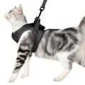 1pc Harnais Et Laisse Pour Chat Pour La Marche, Harnais De Gilet Réglable Doux Anti-évasion Pour Chats De Petite Et Moyenne Taille, À Contrôle Facile