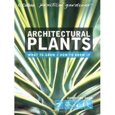 Architectural Plants: Ferns, Palms, Hostas And Yuccas (Collins Practical Gardener)