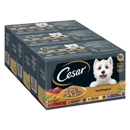 96x 150g Cesar Country Kitchen Favourites Mixkarton Hundefutter nass