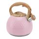 Stove top Kettle 3l/101.4oz Tea Kettle Whistling Tea Kettle Energy Saving Water Kettle Heat Up Fast to Boil Kettle Camping Teapot for Coffee Tea Kettle