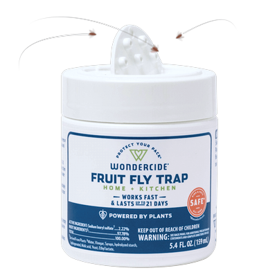 Wondercide Fruit Fly Trap for Kitchen, Home and Indoor Areas