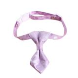 Science Diet Large Breed Puppy Can 4 Color Ties With Cat Bow Ties Bell Elastics Cute Cat Ties Fit Most Collars Cat Ties for Small To Medium Breeds