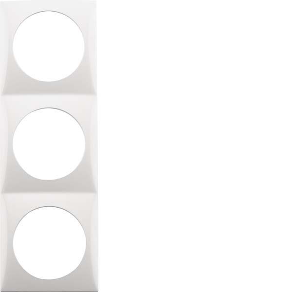 Berker Rahmen 3f.pws/gl 918192519 Image