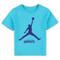 Toddler Jordan Brand Teal Charlotte Hornets Essential Jumpman T-Shirt