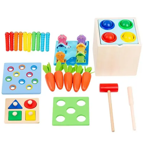 Montessori 5 in 1 Spielzeug Holzform Sortieren & passendes Spielzeug Holz spielset für über