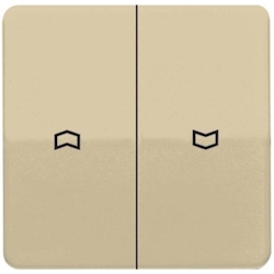 Jung Wippe Symbole gold brz CD 595 P GB CD595PGB Image