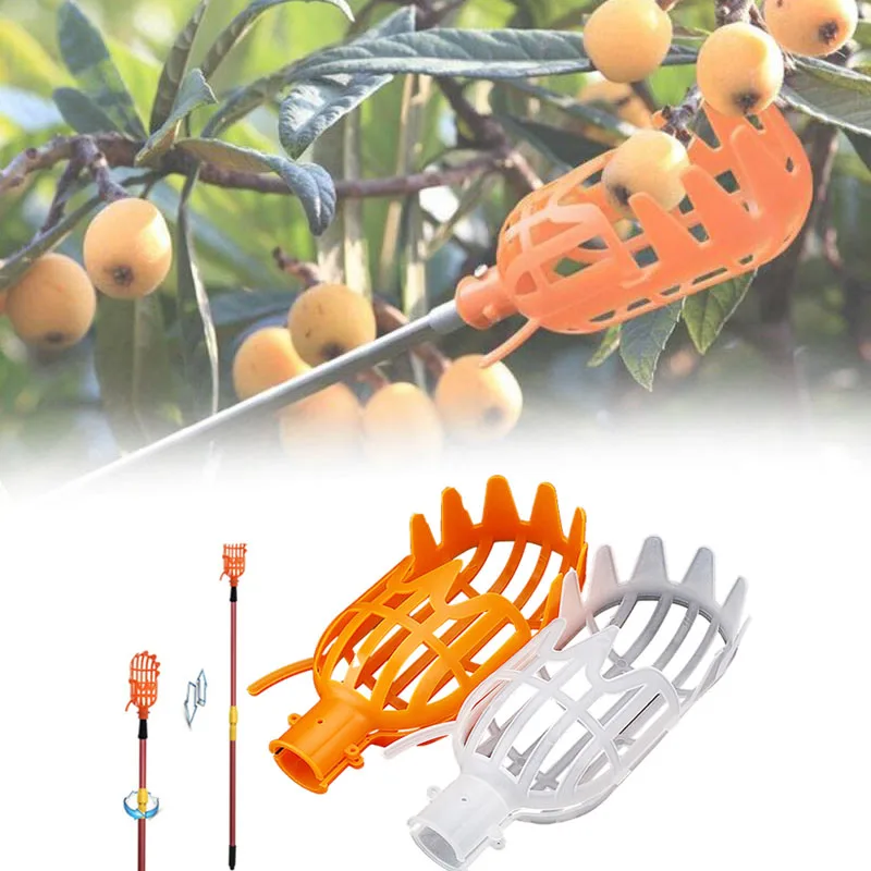 Garten Korb Obst Picker Kopf Multi-Farbe Kunststoff Obst Picking Werkzeug Catcher Landwirtschaft Bayberry Jujube Picking Liefert Image