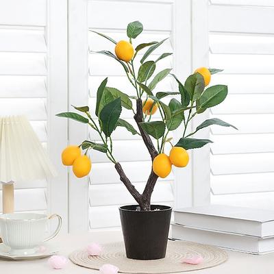 plante en pot de citronnier réaliste