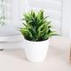 Realistic Artificial Bugleweed Potted Plant