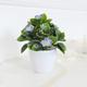 Realistic Artificial Garden Phlox Potted Plant