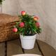 Realistic Miniature Apple Tree Potted Plant