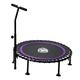 Recreational Trampolines, Aerobic Exercise Fitness Rebounder with Bar, Portable Indoor Trampoline In A Home Gym or Garden (Color : Purple) (Purple)