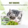 50g snack per gatti grano liofilizzato granuli liofilizzati Cat Grass denti Grinding Stick aumento