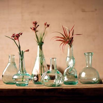 Enya Bottle Bud Vases Clear Set of Six, Set of Six, Clear