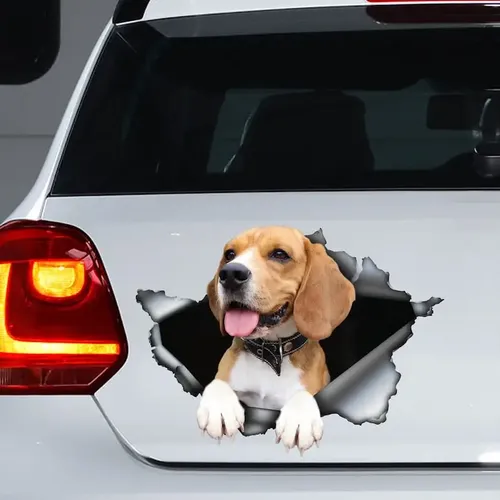 Lustiger Auto aufkleber Beagle-Aufkleber Beagle-Magnet Beagle-Aufkleber Auto dekoration Auto